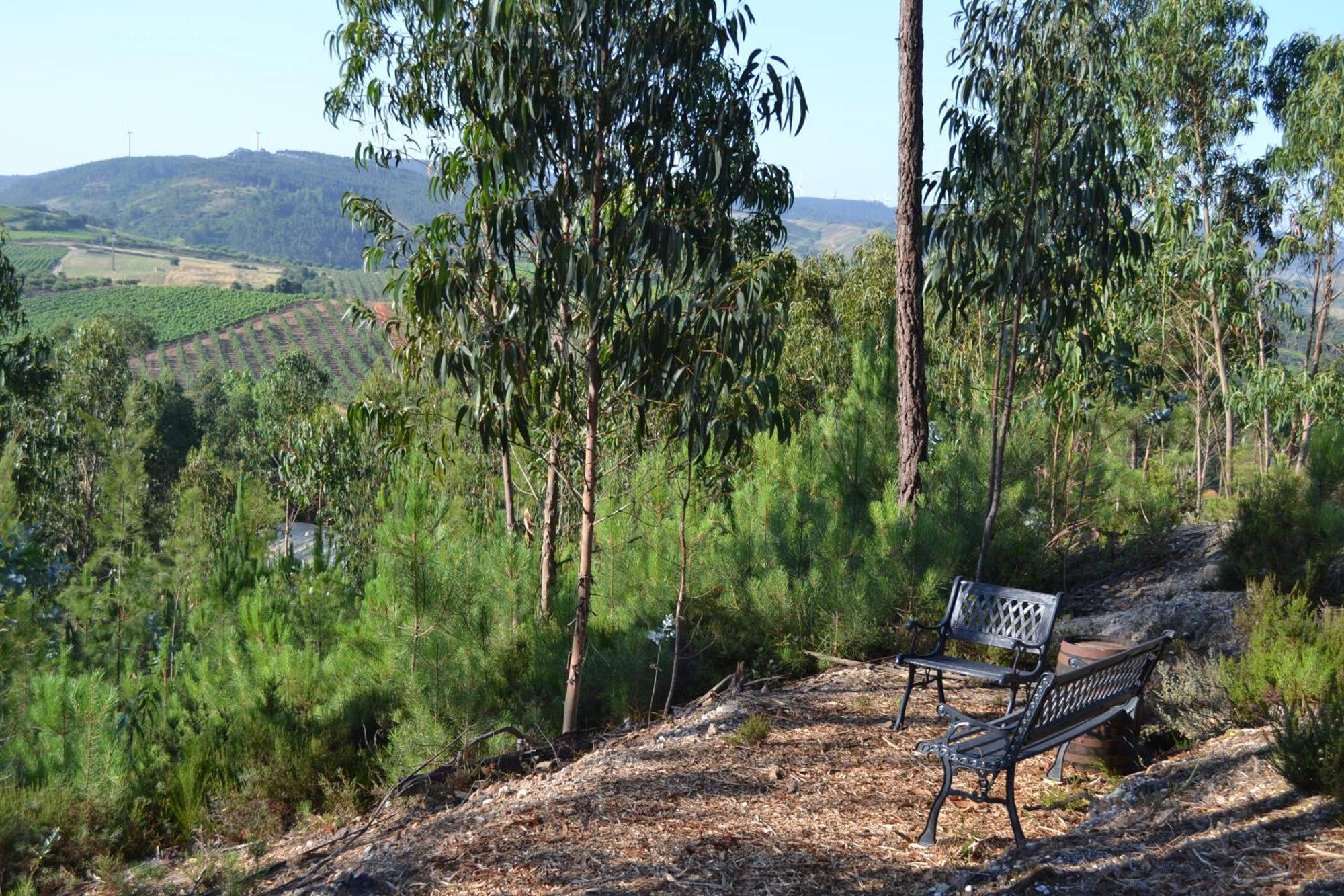 Mountview Villa Alenquer Exteriör bild